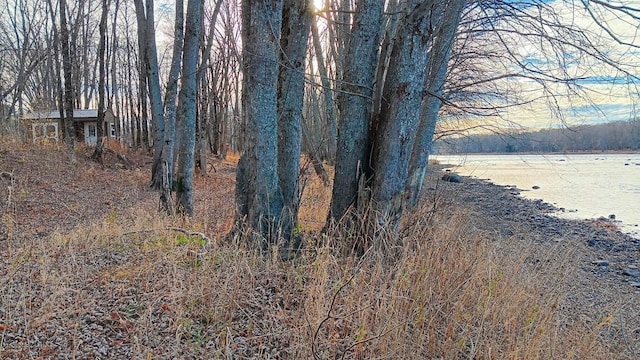 590 Mohawk Rd, Lincoln, ME 04457 - view of nature