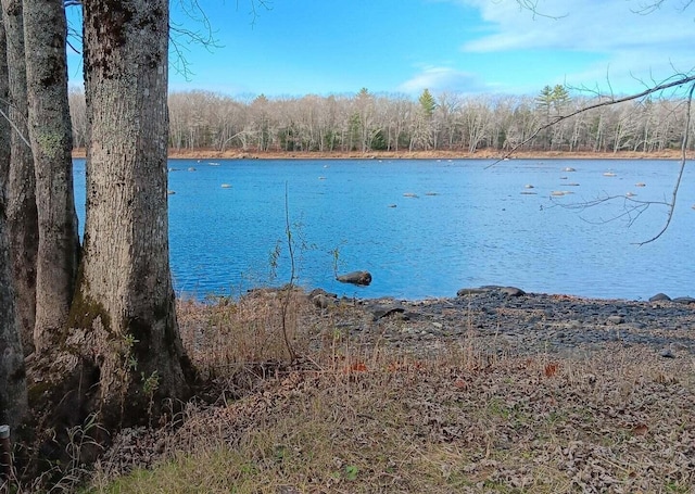 590 Mohawk Rd, Lincoln, ME 04457 - water view with a heavily wooded area