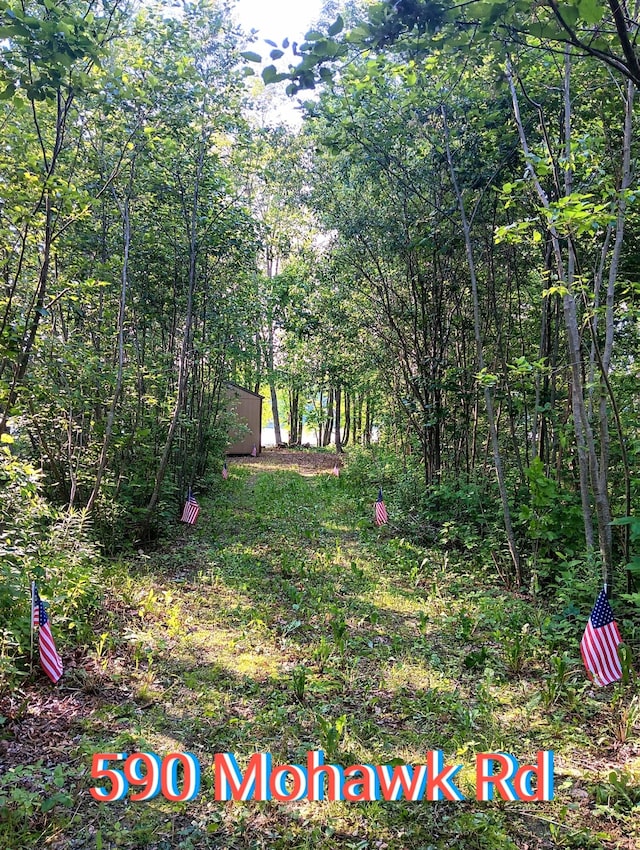 590 Mohawk Rd, Lincoln, ME 04457 - view of yard