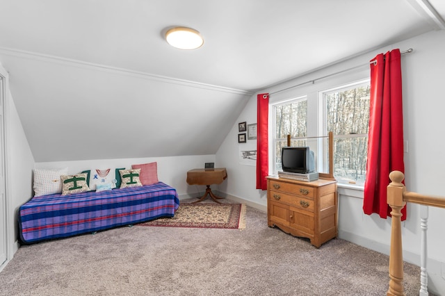 bedroom with lofted ceiling and carpet flooring