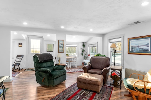 living room with wood-type flooring