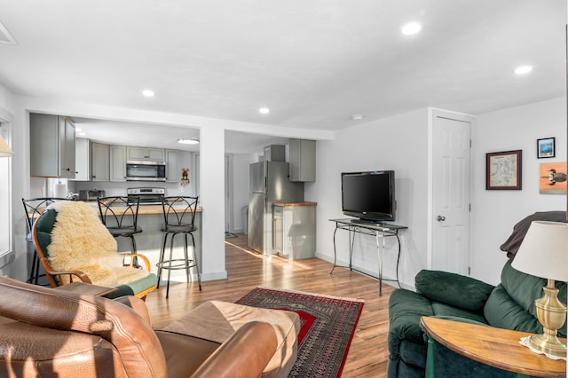 living room featuring light hardwood / wood-style flooring