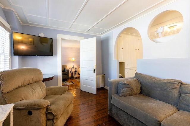 living room with dark hardwood / wood-style flooring and radiator