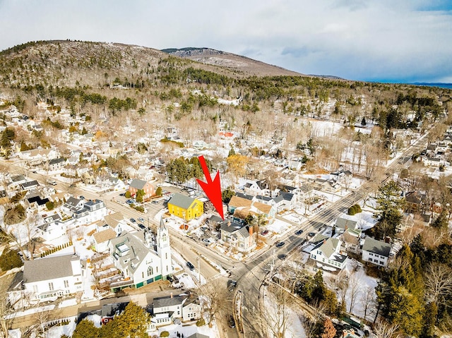 birds eye view of property with a mountain view