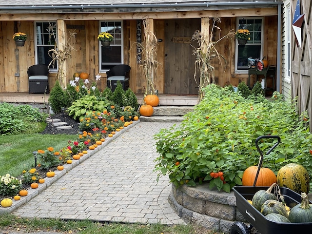 doorway to property featuring a shingled roof