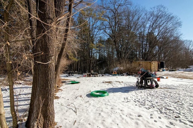 view of yard covered in snow