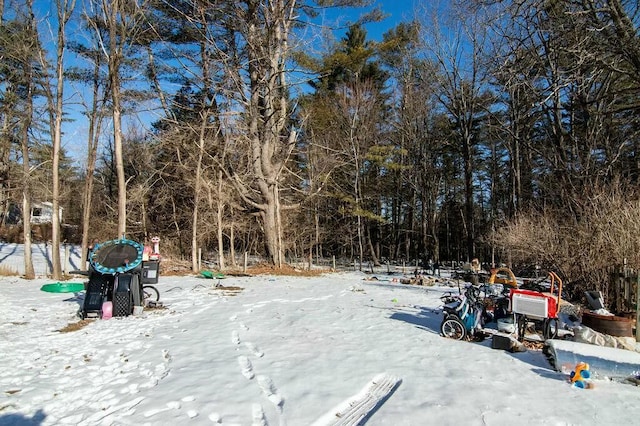 view of yard covered in snow