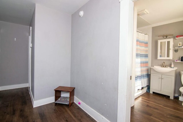 interior space featuring vanity and wood-type flooring