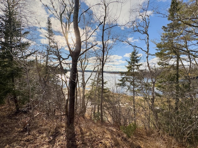 Listing photo 3 for 379 Cutler Rd, Machiasport ME 04655