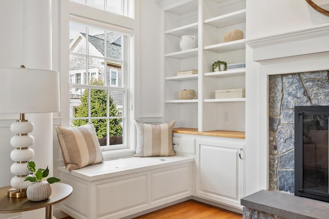 living area featuring a fireplace, light wood-style floors, and plenty of natural light
