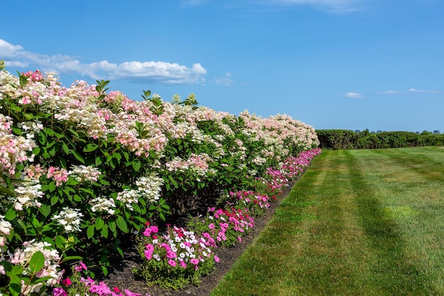 22 Channel Cove Ln, Biddeford, ME 04005 - view of grassy yard