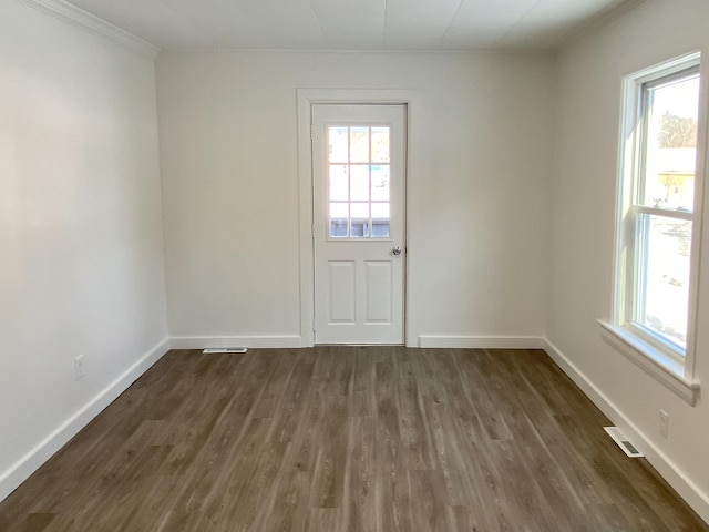 spare room featuring dark wood-type flooring