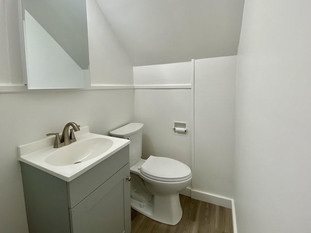 bathroom with hardwood / wood-style flooring, vanity, and toilet