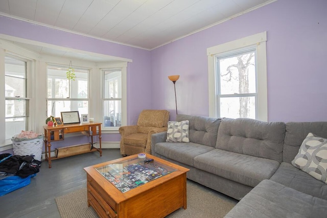 living room featuring crown molding, a baseboard radiator, and hardwood / wood-style floors