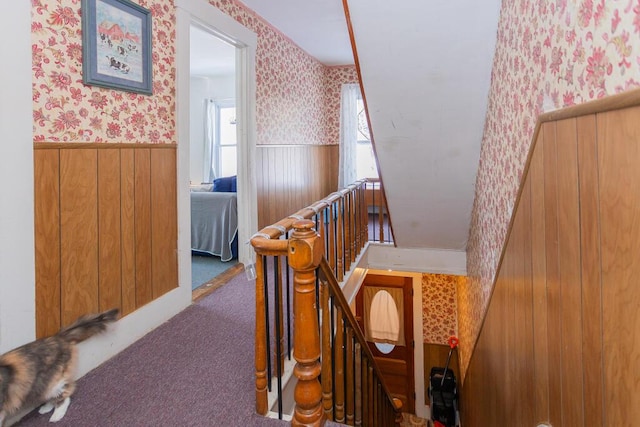 stairs with carpet floors