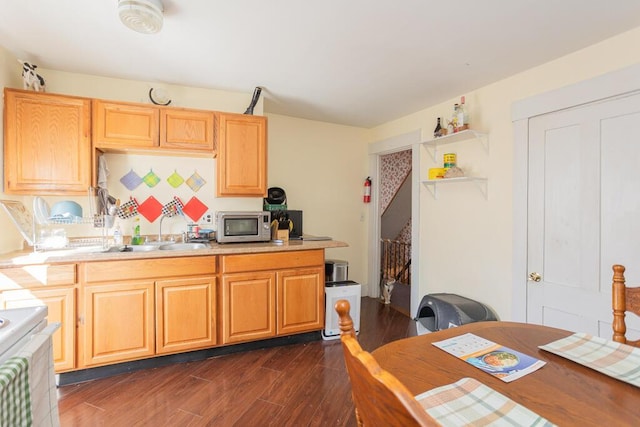 kitchen with sink, dark hardwood / wood-style floors, and light brown cabinets