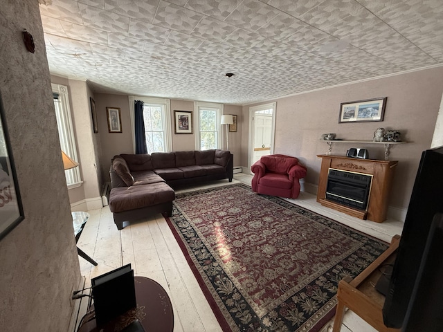 living room with a baseboard radiator and hardwood / wood-style floors