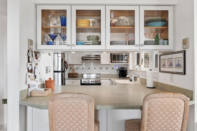 bar with a sink, stainless steel appliances, under cabinet range hood, and decorative backsplash