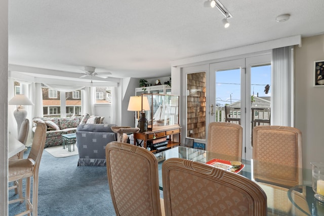 carpeted living area with a textured ceiling, ceiling fan, and rail lighting