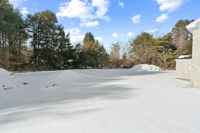 view of snowy yard