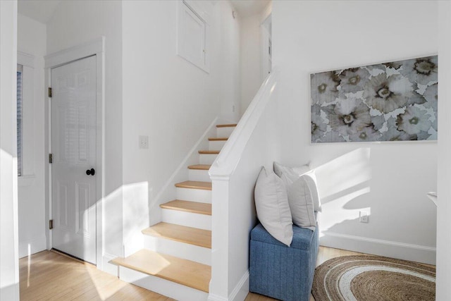 staircase featuring wood-type flooring