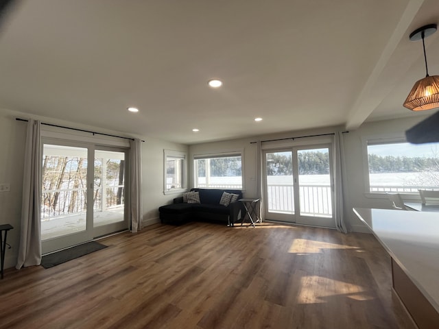 interior space with dark hardwood / wood-style floors