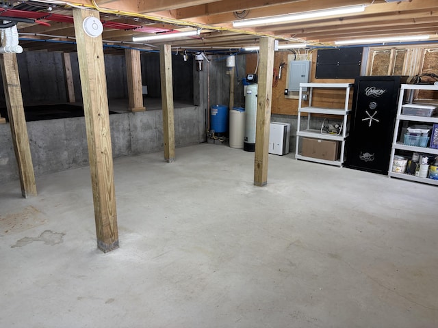 basement with electric panel