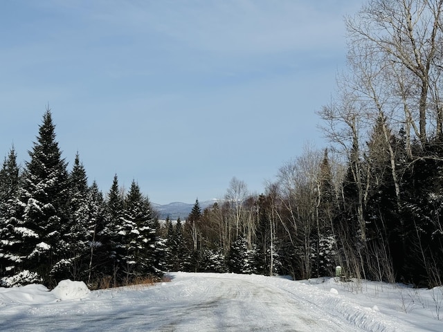 Listing photo 2 for LOT7 Mill Brook Rd, Sandy River Plt ME 04970