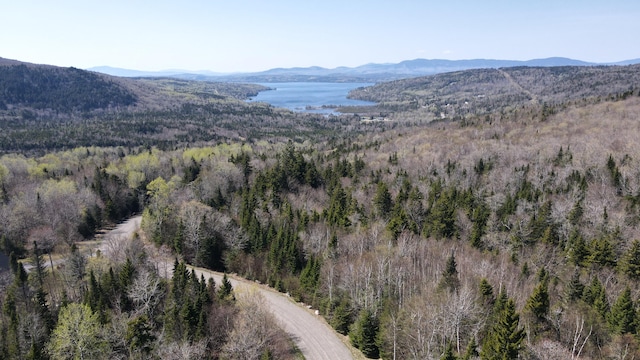 LOT7 Mill Brook Rd, Sandy River Plt, ME 04970
