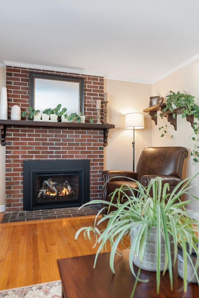 living room featuring ornamental molding, wood-type flooring, and a fireplace