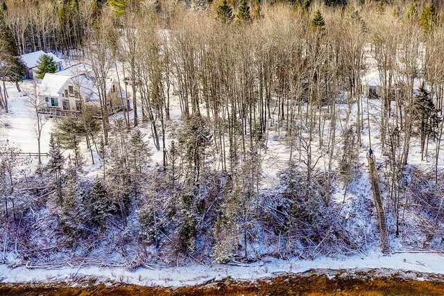 snowy aerial view with a forest view