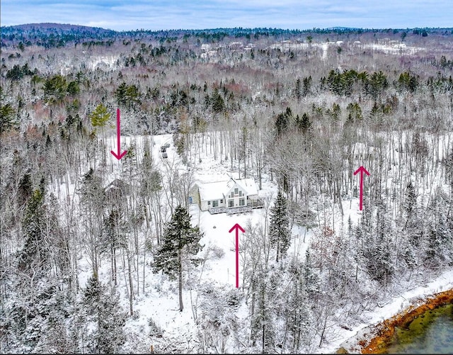 drone / aerial view with a forest view