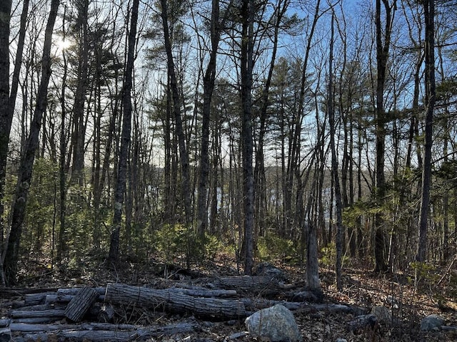 Listing photo 3 for LOT009-02 Powderhorn Rd, Jefferson ME 04348