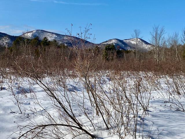 8-15 Notch Rd, Brownfield ME, 04010 land for sale