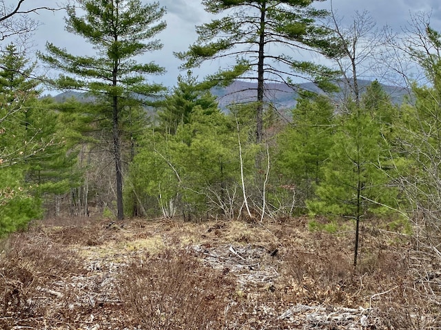 8-15 Notch Rd, Brownfield, ME 04010