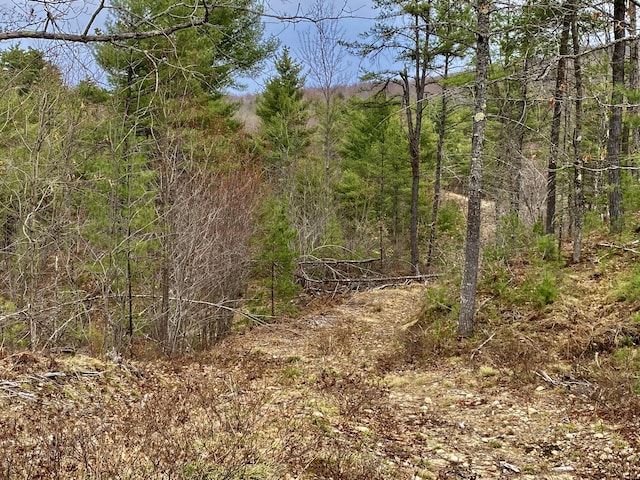 8-15 Notch Rd, Brownfield, ME 04010