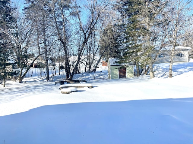 view of yard layered in snow