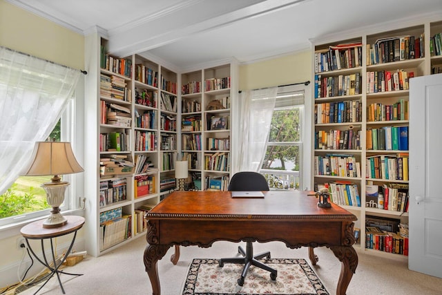 office space featuring crown molding, light colored carpet, and beamed ceiling