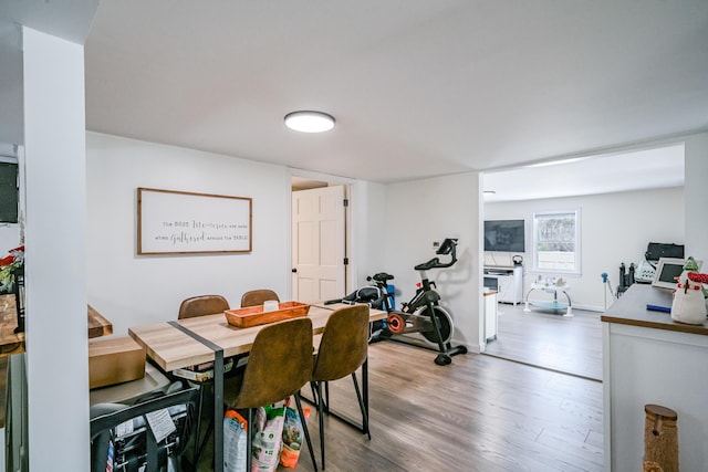 dining room featuring hardwood / wood-style floors