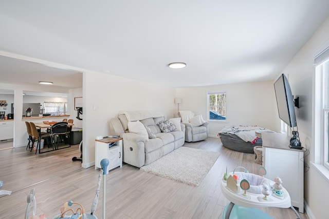 living room featuring light hardwood / wood-style flooring