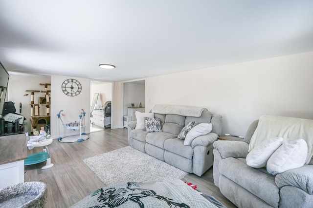 living room featuring hardwood / wood-style flooring