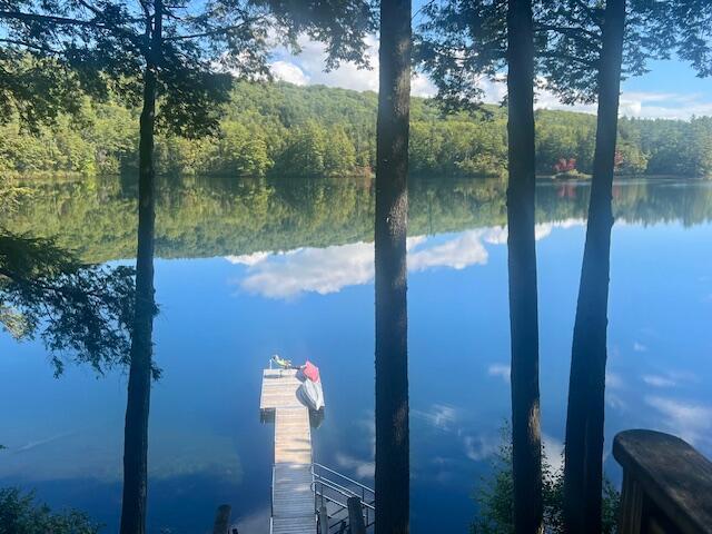 property view of water featuring a boat dock