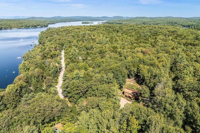 bird's eye view with a water and mountain view