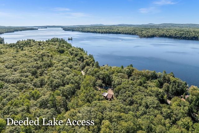 532 Cape Monday Rd, Harrison, ME 04040 - aerial view of a heavily wooded area and a nearby body of water