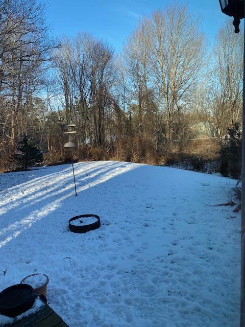 view of yard layered in snow