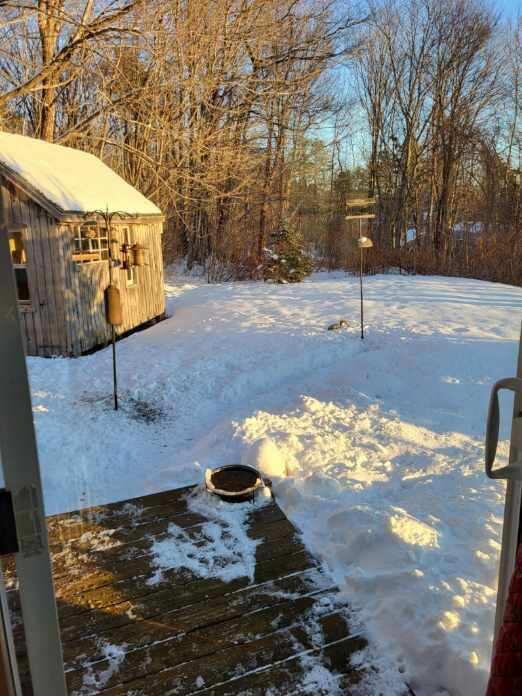 view of yard covered in snow