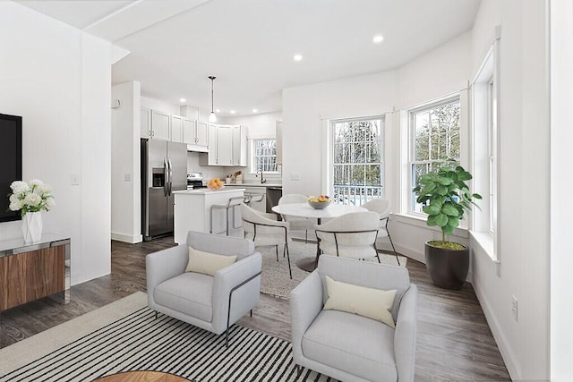 living room featuring a healthy amount of sunlight, sink, and dark hardwood / wood-style flooring