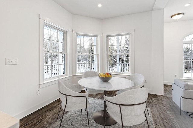 dining room with plenty of natural light and dark hardwood / wood-style floors