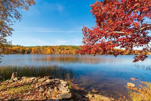 property view of water