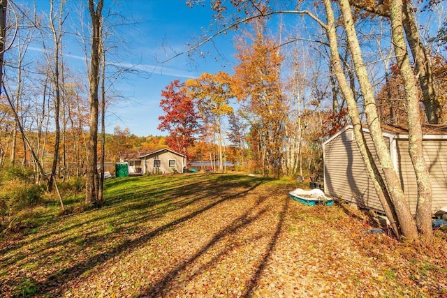 view of yard